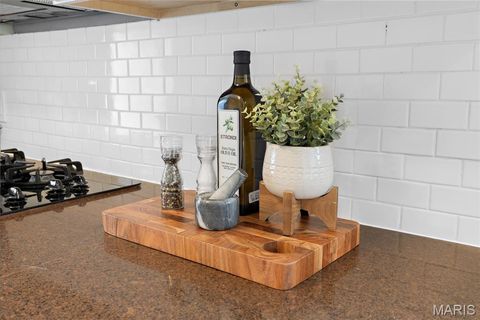 Tiny photo for 6634 Elmer Avenue, St Louis, MO 63109 (MLS # 26018981)