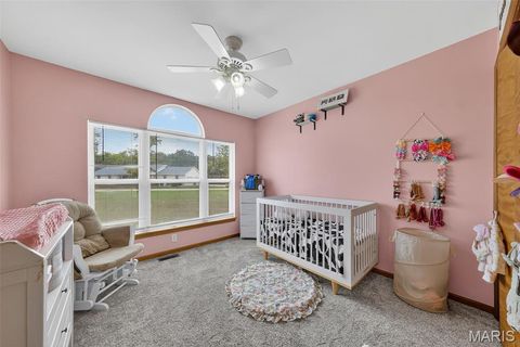 Tiny photo for 16815 Pike 9289, Bowling Green, MO 63334 (MLS # 25068454)