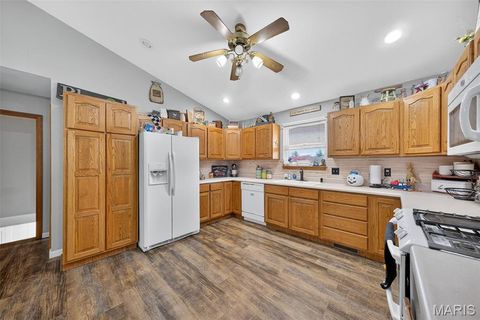 Tiny photo for 16815 Pike 9289, Bowling Green, MO 63334 (MLS # 25068454)