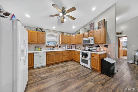 Tiny photo for 16815 Pike 9289, Bowling Green, MO 63334 (MLS # 25068454)