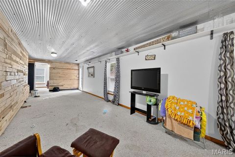 Tiny photo for 16815 Pike 9289, Bowling Green, MO 63334 (MLS # 25068454)