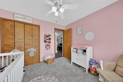 Tiny photo for 16815 Pike 9289, Bowling Green, MO 63334 (MLS # 25068454)