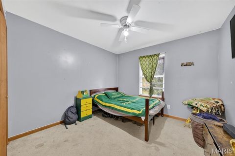 Tiny photo for 16815 Pike 9289, Bowling Green, MO 63334 (MLS # 25068454)