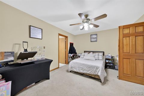 Tiny photo for 16815 Pike 9289, Bowling Green, MO 63334 (MLS # 25068454)