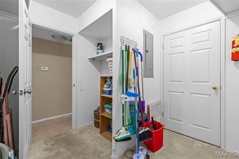 Tiny photo for 539 Coeur De Royale Drive #408, Creve Coeur, MO 63141 (MLS # 25072408)