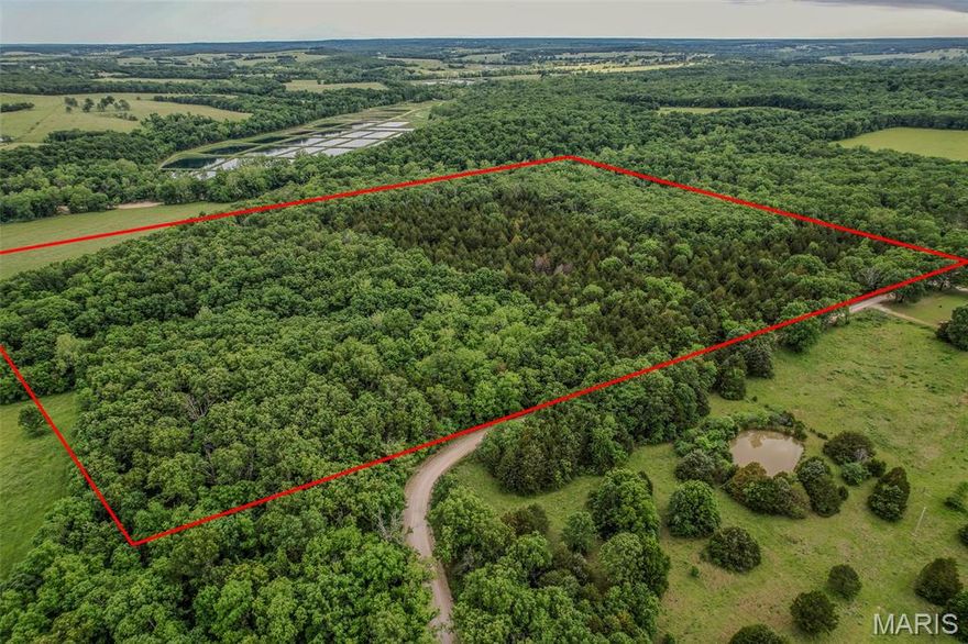 Tucked back off Shepherd Road, there is just something about this land the second you pull in… it gets quiet in the best kind of way.

It is 40 acres of woods, space, and that feeling like you can finally breathe a little deeper. The kind of place where you can picture a home tucked into the trees, a porch with your morning coffee, kids or pups running around, or even just a weekend spot to get away and reset.

You feel away from everything… but not too far. You are still just 15 minutes to Richland, 20 minutes to Stoutland, and about 30 minutes to Lake of the Ozarks… so you have that balance of peaceful and practical.

It sits in the Stoutland School District, right in the heart of central Missouri, with plenty of room to do things your way… build, hunt, explore, or just have your own piece of ground that is yours.

It is not just land… it is the start of something. And you can feel that when you are standing there.