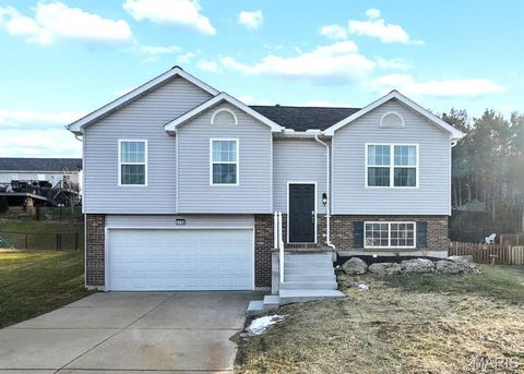 2310 Peterein Court Festus MO 63028