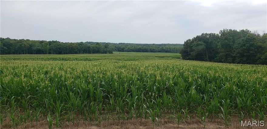 100 Acres of Prime Recreational & Crop Ground in Monroe County in Northern Missouri/
This 100-acre property offers a perfect blend of recreational and agricultural opportunities, ideal for outdoor enthusiasts and hunters alike. Located in Northern Missouri, the land boasts:
13 Acres in CRP Program providing steady income while preserving the land for conservation.
56 Acres Tillable (currently leased) for farming or investment purposes.
The remaining acreage is wooded timber, offering excellent habitat for wildlife.
A Hunter’s Dream: This property is a haven for hunters, with a rich variety of wildlife, including big whitetail deer, frequent turkey, and Bob White quail. The well-maintained trails and diverse terrain make it a prime hunting ground throughout the year. Included in the Sale:
5 Nice 2-Man Box Blinds strategically placed across the property to maximize hunting opportunities.
3 on 10’ platforms
1 on a 5’ platform
1 at ground level, perfect for various hunting setups
Whether you're looking for a hunting retreat, a place to enjoy nature, or a productive piece of land with farming potential, this property offers it all. Don’t miss the opportunity to own this versatile land in the heart of Northern Missouri!