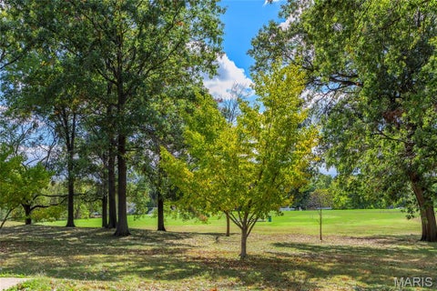 Tiny photo for 125 E Frisco Avenue, Webster Groves, MO 63119 (MLS # 26064709)