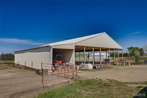 Tiny photo for 3952 Frye Road, Farmington, MO 63640 (MLS # 26019928)