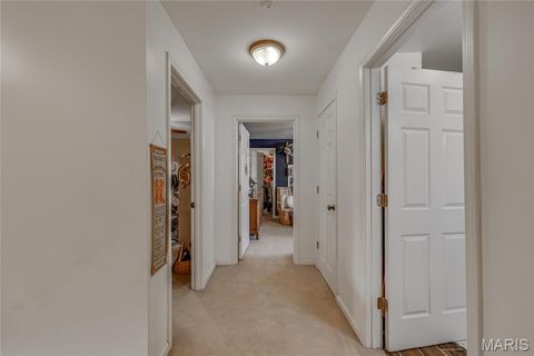 Tiny photo for 3952 Frye Road, Farmington, MO 63640 (MLS # 26019928)
