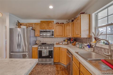 Tiny photo for 3952 Frye Road, Farmington, MO 63640 (MLS # 26019928)
