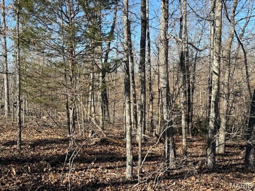 76 acres has been recently logged, offering a blank canvas with endless possibilities that offers a combination of privacy, versatility and outdoor potential. This property provides an excellent opportunity for hunting, farming, recreation, or future development. Secluded setting with abundant wildlife and room to customize to your needs. It has convenient access located on a gravel road with lots of road frontage between Salem, Rolla and St. James. Property consists of two parcels (39.17 acres and 36.85 acres).