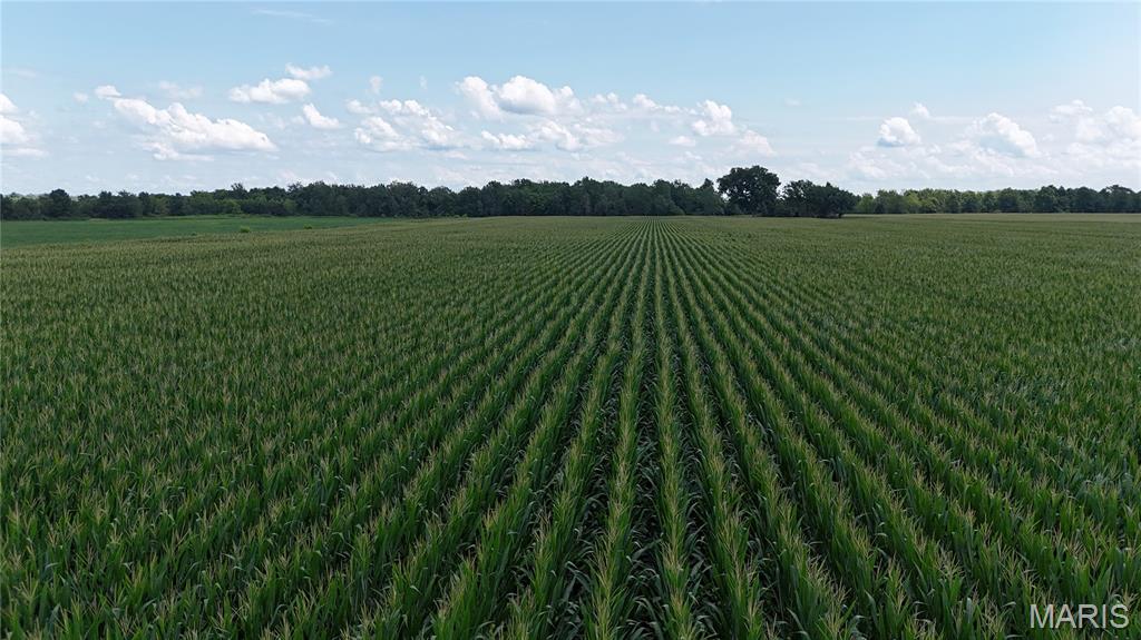 117.76 Acres Mo-79