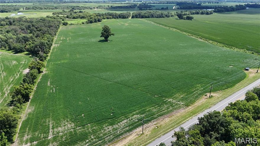 Exceptional opportunity to own 117.76 acres of productive farmland along Hwy 79 in sought-after St. Charles County! This prime tract offers acreage with a mix of open tillable ground and tree lines along the perimeter, providing excellent farming and investment potential. Currently in crop production with income-generating lease in place, making it ideal for farmers, investors, or those seeking to expand their agricultural portfolio. With highway frontage for easy access, this property offers long-term potential for continued farming or recreational use.  Northeastern portion offers excellent deer and waterfowl hunting that is bordering a private duck club. Rarely does a tract of this size and quality become available in such a desirable location—don’t miss your chance to own a working farm with immediate income and lasting value!