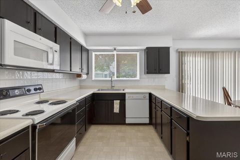 Tiny photo for 526 Misty Moss Lane, St Peters, MO 63376 (MLS # 26025210)