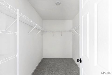 Tiny photo for 537 Evening Primrose Drive, Wentzville, MO 63385 (MLS # 26005889)