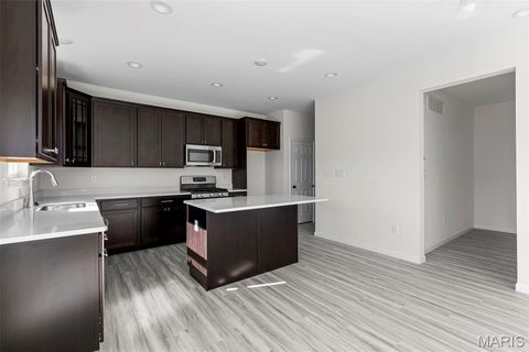 Tiny photo for 537 Evening Primrose Drive, Wentzville, MO 63385 (MLS # 26005889)