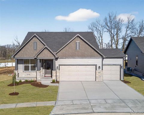 236 Randlin Drive O'Fallon MO 63367