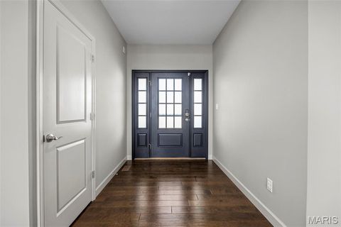 Tiny photo for 317 Wilmer Valley Drive, Wentzville, MO 63385 (MLS # 25065901)