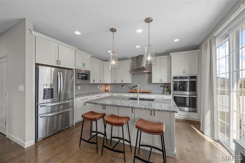 Tiny photo for 317 Wilmer Valley Drive, Wentzville, MO 63385 (MLS # 25065901)