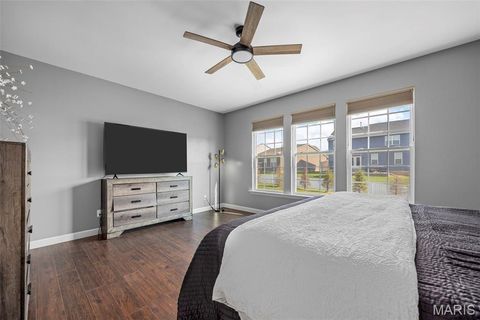Tiny photo for 317 Wilmer Valley Drive, Wentzville, MO 63385 (MLS # 25065901)