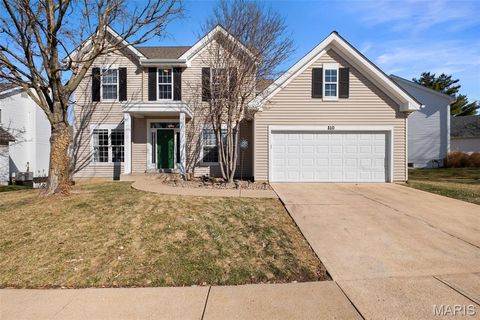 Photo of 810 Wellesley Place Drive, Chesterfield, MO 63017 (MLS # 26004235)