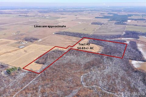 54.63+/- AC Sackwitz Road New Athens IL 62264