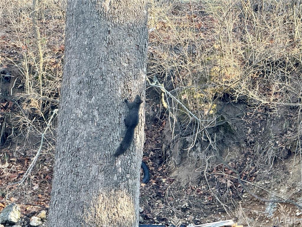 Lake Apollo - Residential