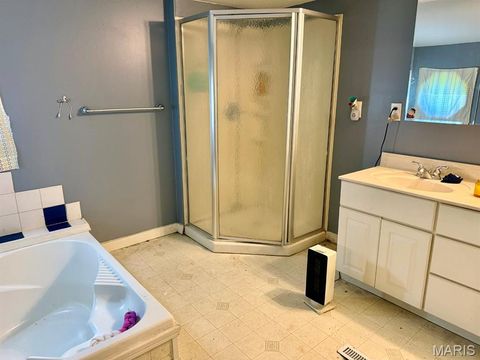 Tiny photo for 909 N Walnut Street, Dexter, MO 63841 (MLS # 26026603)