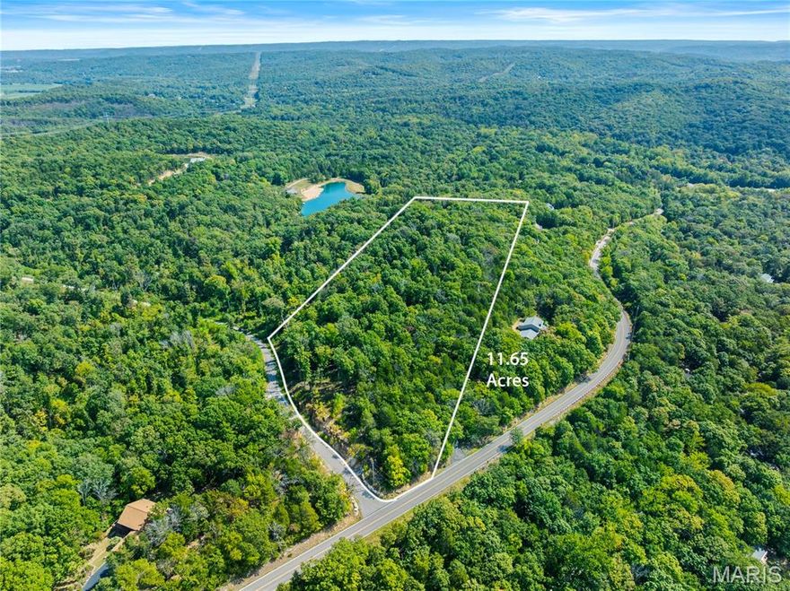 Welcome to Cedar Haven Estates, an exclusive enclave designed for custom luxury living. This beautiful estate-sized lot offers the rare opportunity to build your dream home on a private wooded setting while still enjoying the convenience of nearby amenities. Cedar Haven Estates was originally planned as a 10-lot neighborhood, with several stunning custom homes already completed. This lot is one of the final remaining parcels, offering ample space, privacy, and the perfect canvas for your vision. Utilities are accessible, and the neighborhood is thoughtfully designed for upscale homes on large lots. Nestled in the rolling hills of Pacific, you’ll appreciate the tranquility of country living with quick access to major highways, shopping, dining, and top-rated schools. Whether you’re ready to build now or secure land for the future, this lot is a prime investment in both lifestyle and location. Property lines are marked with pink flags.