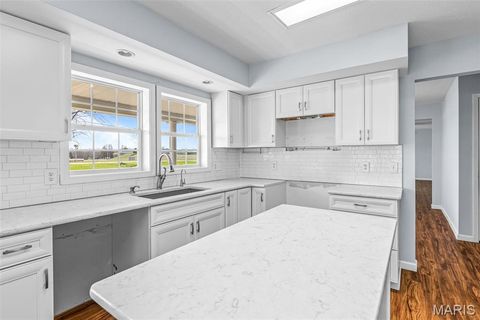 Tiny photo for 1045 Airport Road, Festus, MO 63028 (MLS # 26013322)