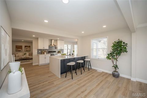 Tiny photo for 15693 Dresden Lake Court, Chesterfield, MO 63017 (MLS # 26004288)