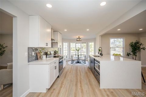 Tiny photo for 15693 Dresden Lake Court, Chesterfield, MO 63017 (MLS # 26004288)