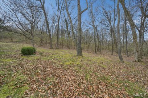 Tiny photo for 583 McBride Pointe Drive, Wildwood, MO 63011 (MLS # 26014429)