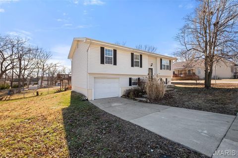 Tiny photo for 500 Pitman Avenue, Wentzville, MO 63385 (MLS # 26000821)