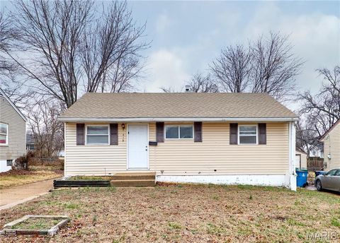 419 Cameron Road Riverview MO 63137