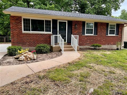 Photo of 7374 Tannoia Drive, Hazelwood, MO 63042 (MLS # 26032188)
