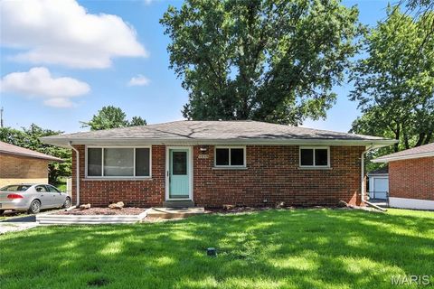 1113 Walker Avenue St Louis MO 63138
