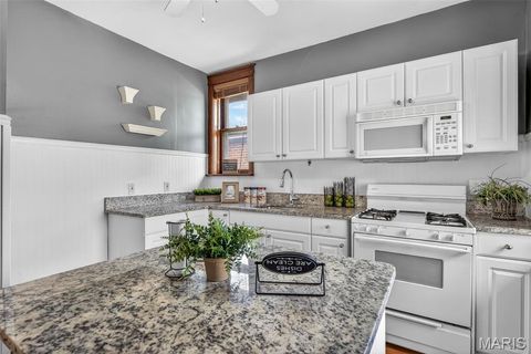 Tiny photo for 6059 Wanda Avenue, St Louis, MO 63116 (MLS # 26035921)