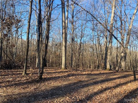 Tiny photo for 15 Polston Ln., Marthasville, MO 63357 (MLS # 25058009)