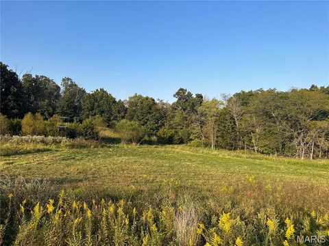Photo of 53424 Trabue Lane Ln, Hannibal, MO 63401 (MLS # 26023766)