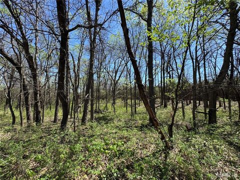 Tiny photo for 53424 Trabue Lane Ln, Hannibal, MO 63401 (MLS # 26023766)