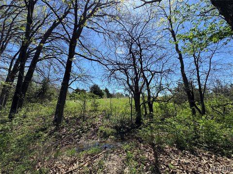 Tiny photo for 53424 Trabue Lane Ln, Hannibal, MO 63401 (MLS # 26023766)