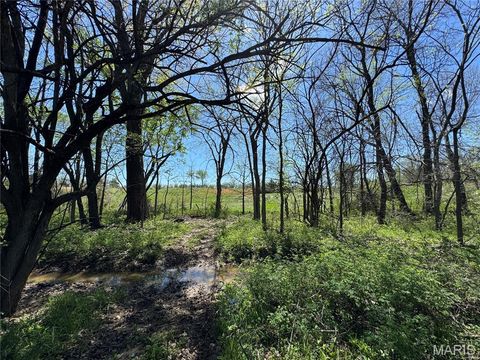 Tiny photo for 53424 Trabue Lane Ln, Hannibal, MO 63401 (MLS # 26023766)