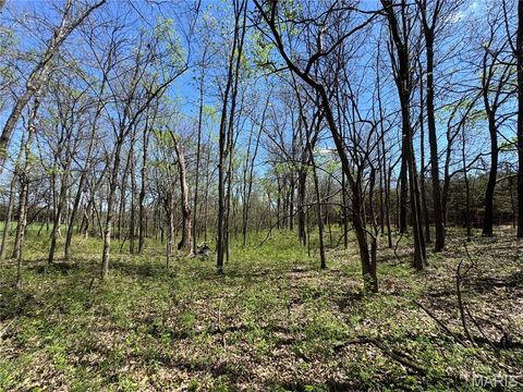 Tiny photo for 53424 Trabue Lane Ln, Hannibal, MO 63401 (MLS # 26023766)