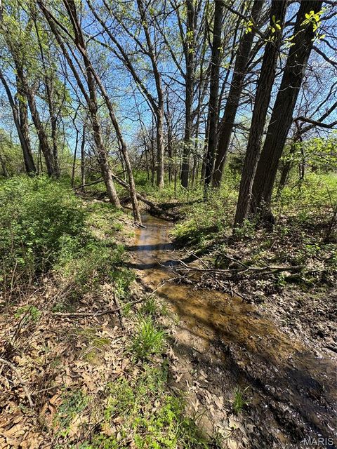 Tiny photo for 53424 Trabue Lane Ln, Hannibal, MO 63401 (MLS # 26023766)