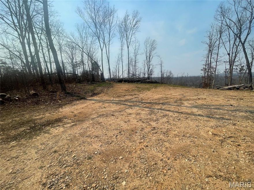 28 acres joining government property only 5 miles off of 67 North.  Perfect for hunting property or a homesite.  The ridge line has a beautiful view of a neighboring farm below.  Property has had timber cut.  This is a rare find being so close to main highway.  If you have any questions, please give me a call.