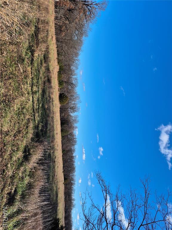 0 County Road 197 - Tract 9 (16+/- Acres)