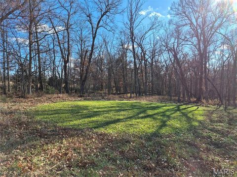 Photo of 0 County Road 197 - Tract 9 (16+/- Acres), Williamsburg, MO 63388 (MLS # 26022979)